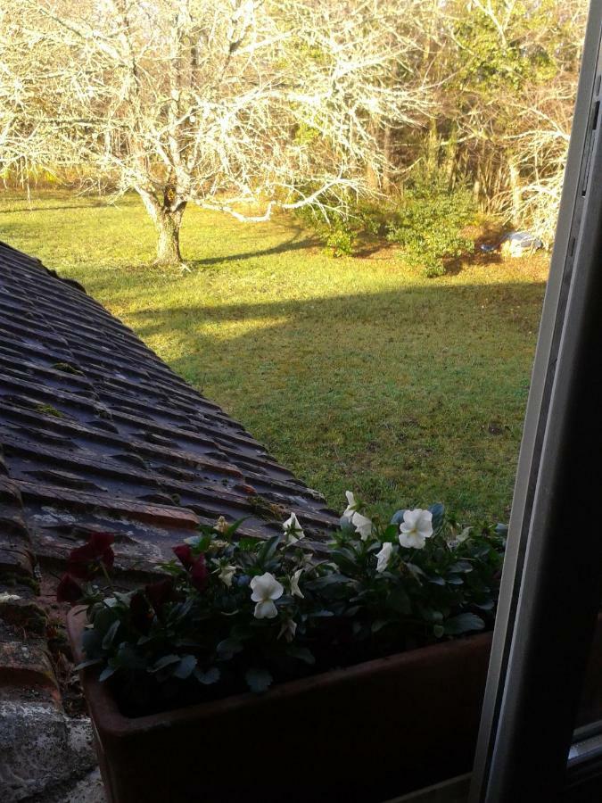 La Tour-Blanche Mistoury Bed & Breakfast エクステリア 写真